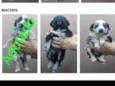Bebês