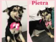 Pietra