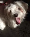 Nina