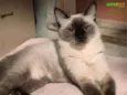 Clara