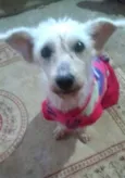 Xuxa