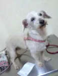 Xuxa