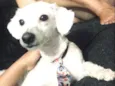 Bob