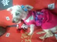 Xuxa