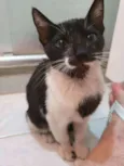 Penelope