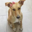 KIARA