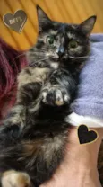Mel