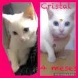 Cristal
