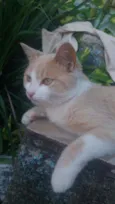 Raio de Sol 