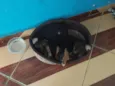 Não tem nome