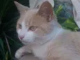 Raio de Sol 