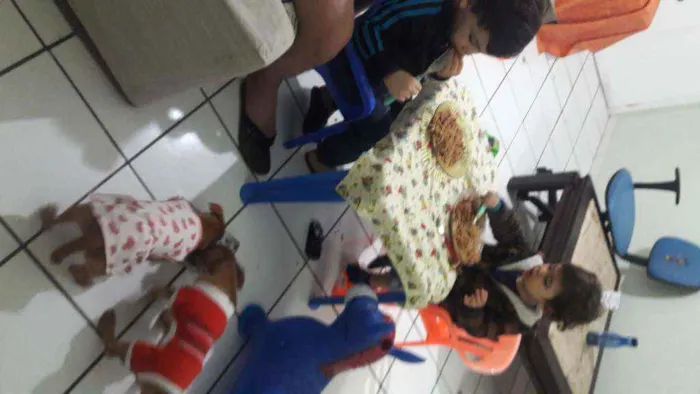 Cachorro ra a Indefinida idade 2 a 6 meses nome Princesa e Didico