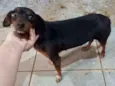Neguinha