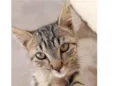 Tom