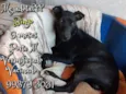 Bingo