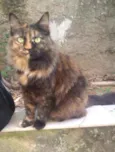 Mia
