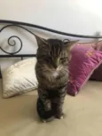 Óliver