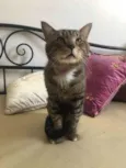 Óliver