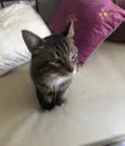 Óliver