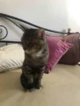 Óliver