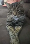 Óliver