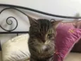 Óliver