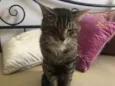 Óliver