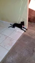 Enki
