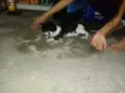 Tom