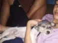 Pandora, papel e lob