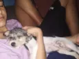 Pandora, papel e lob