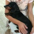 Susi 