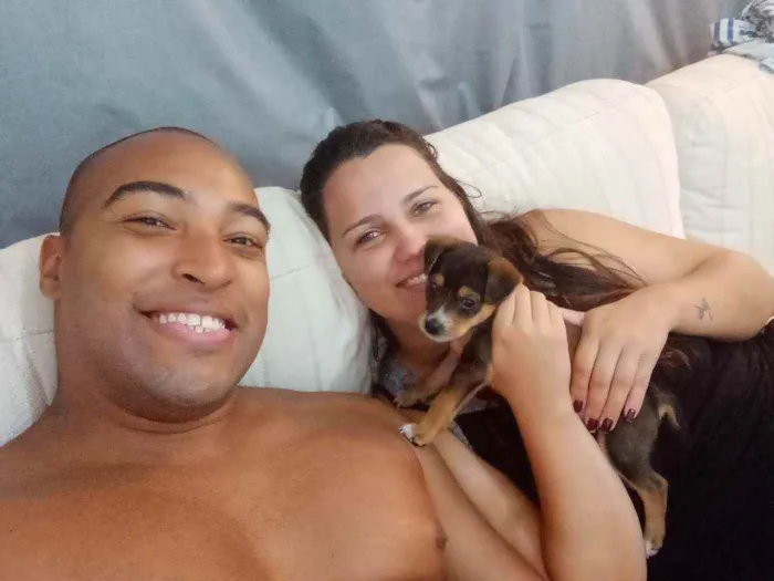 Cachorro ra a Vira lata idade Abaixo de 2 meses nome Theo