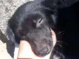 sem nome 