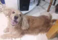 Luky