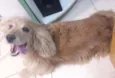 Luky