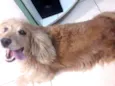 Luky