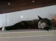 Princesa