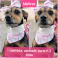 Mel e Melissa 