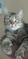LULY