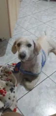 Não tem nome ainda