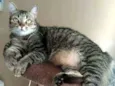 LULY