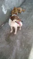 LUPITA