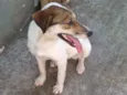 LUPITA