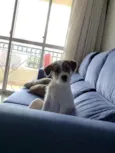 Lip