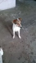 LUPITA