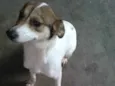 LUPITA