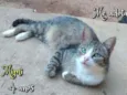 Mimi