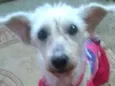 Xuxa