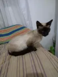 mel